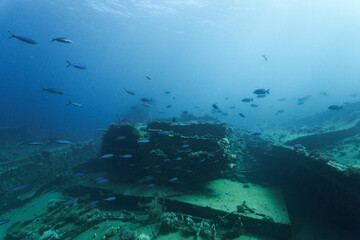 Million Hope  shipwreck