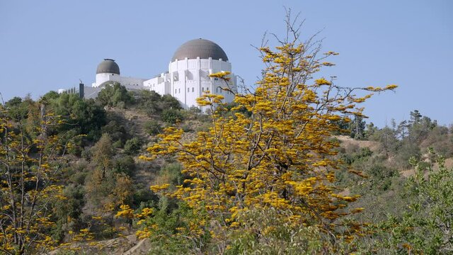 Beautiful sunny day and landscape at the Griffith Observatory Park 