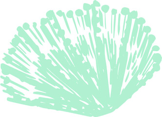 Vector summer art of blue seashells clam shells