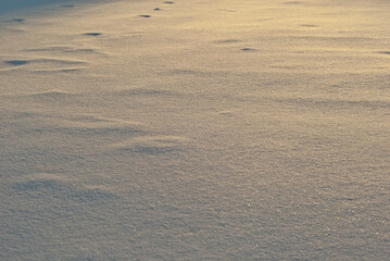 Texture of fresh snow. The snow lies evenly on the ground. Yellow sunlight in the snow. Sunset in winter.