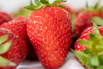 Erdbeere - Frisches Obst