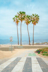 Fototapeta premium Palm trees with blue sky on Venice Beach in Los Angeles