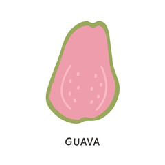 Half Cut Ripe Pink Guava fruit isolated on white background. Tasty organic fresh exotic tropical fruits. Wholesome vegetarian food. Vector illustration. Colored Doodle icon..