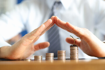 Coins in ascending order stand on table with plant, male hands hold their hands over them in form of roof