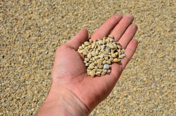 man holds in his hand a sample of stone gravel or pebbles of one size. Marble white gravel and gray...