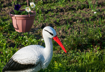 stork in the grass