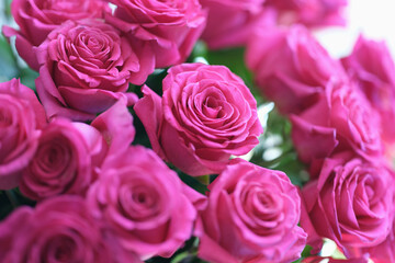 Beautiful fresh buds of pink roses in large bouquet