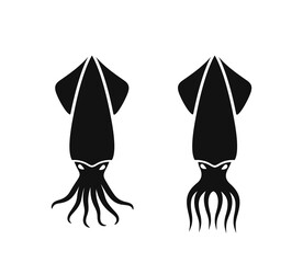 Squid logo. Isolated squid on white background