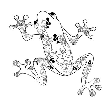recommend clip art: Frog black outline. Frog coloring book for adults vector illustration. Isolated on white background. 