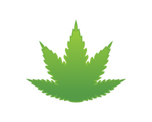 green cannabis medical marijuana leaf