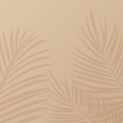 Background abstract palm tree shadow vector illustration © Svetlana