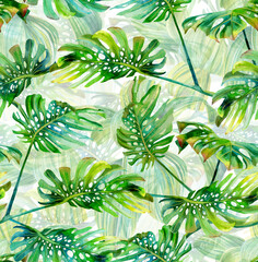Tropical pattern with green monstera leaves. Seamless print painted with watercolor