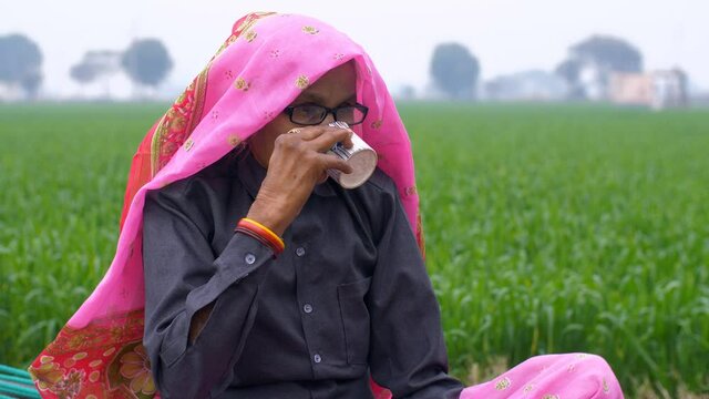 Medium shot of an aged woman having a cup of tea in the pleasant weather outside. An old Indian grandmother in traditional wear and specs drinking a cup of tea near an agricultural field - Village ...