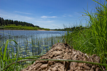 Fototapeta premium View of the river from a submerged log