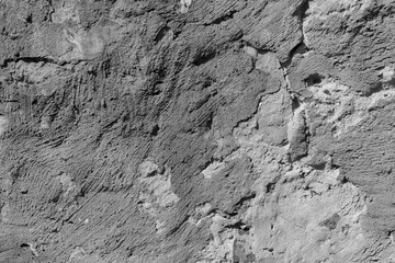 Gray cement background.