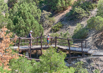 A boy and his grandfather walking across small bridge on the scenic Golitsyn trail. National botanical reserve New World, Crimea.