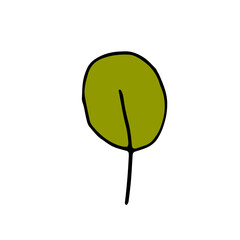 Plant leaf. Wood. Spinach. Summer. Vector hand-drawn doodle illustration.	