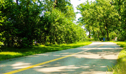 road through the park walk in the park