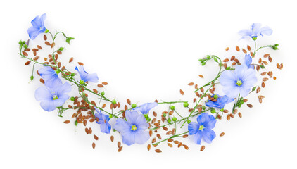 Fototapeta na wymiar Flax flowers and seeds on white background, top view