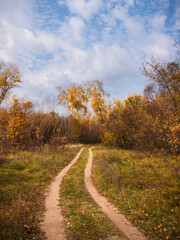 Autumn October rural landscape. Dirt road running through the undergrowth with trees with golden foliage.