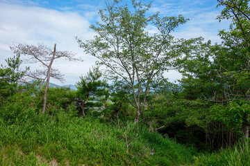 奥三河　登山イメージ