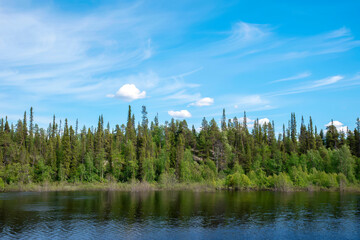 Small river in boreal forest on a sunny day