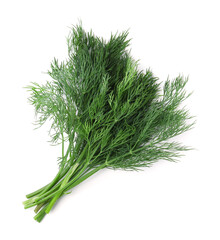 Bunch of fresh dill isolated on white