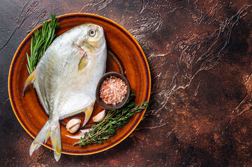 Fresh Raw Florida Pompano fish on a  rustic plate. Dark background. Top view. Copy space