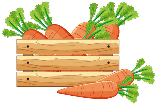 orange carrots in wooden crate clip art preview