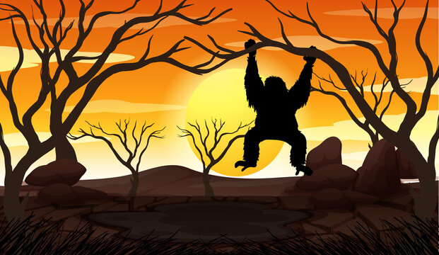 Silhouette Gorilla and Forest Scene at sunset time