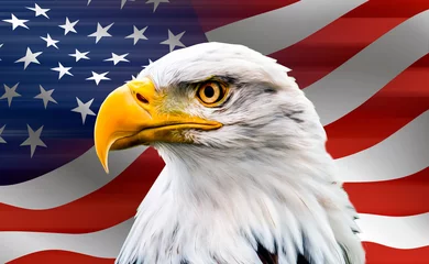 Fototapeten eagle face isolated on usa flag background  © reznik_val
