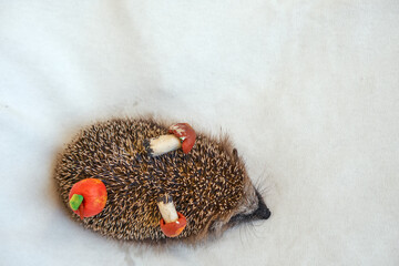 Hedgehog with mushrooms and apples. Toys and animals.
