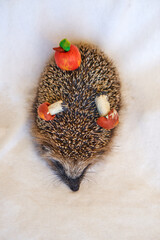 Hedgehog with mushrooms and apples. Toys and animals.