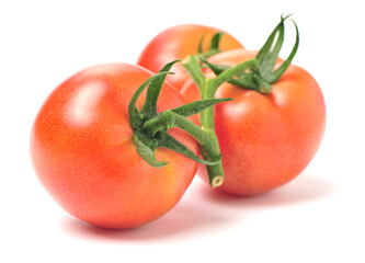 fresh tomato isolated on white background
