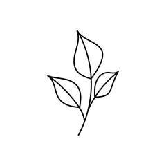 Hand drawn line drawing of a leaf. Vector illustration