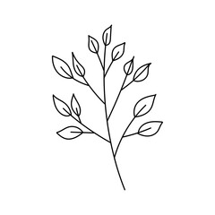 Hand drawn line drawing of a leaf. Vector illustration