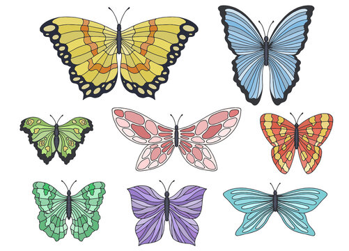 Butterfly set graphic color isolated sketch illustration vector 