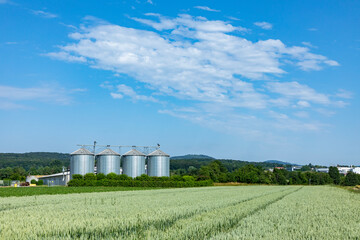 Fototapeta na wymiar silo at the field for corn under blue sky