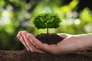 Woman holding pile of soil with small tree on blurred green background, closeup. Eco friendly lifestyle