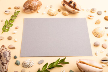 Composition with gray paper sheet, seashells, pebbles, green boxwood. mockup on orange background. side view, copy space.