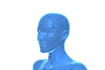 Woman, Head of Human Female, 3D