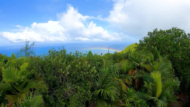 Colorful rainbow over Praslin Island with tropical rainforest around, azure ocean seen from Mont Azore, Seychelles. 