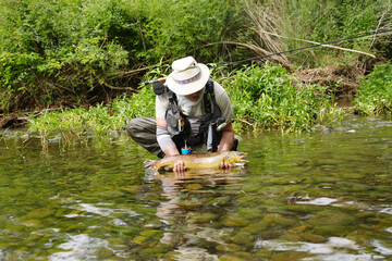 fly fisherman catching a big wild trout in a small river