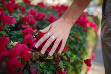 woman's hand stroking the beautiful purple flowers