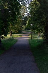walk in the park