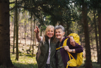 Senior women hikers outdoors walking in forest in nature, talking.