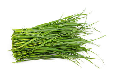 Bunch of green grass.