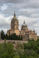 Fototapeta na wymiar Majestic view at the gothic building at the Salamanca cathedral tower cupola dome and University of Salamanca tower cupola dome, surrounding vegetation