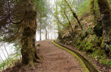 Fototapeta premium Madeira, hiking along irrigation channel (Levada)