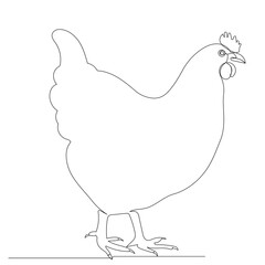 chicken one line drawing isolated, vector